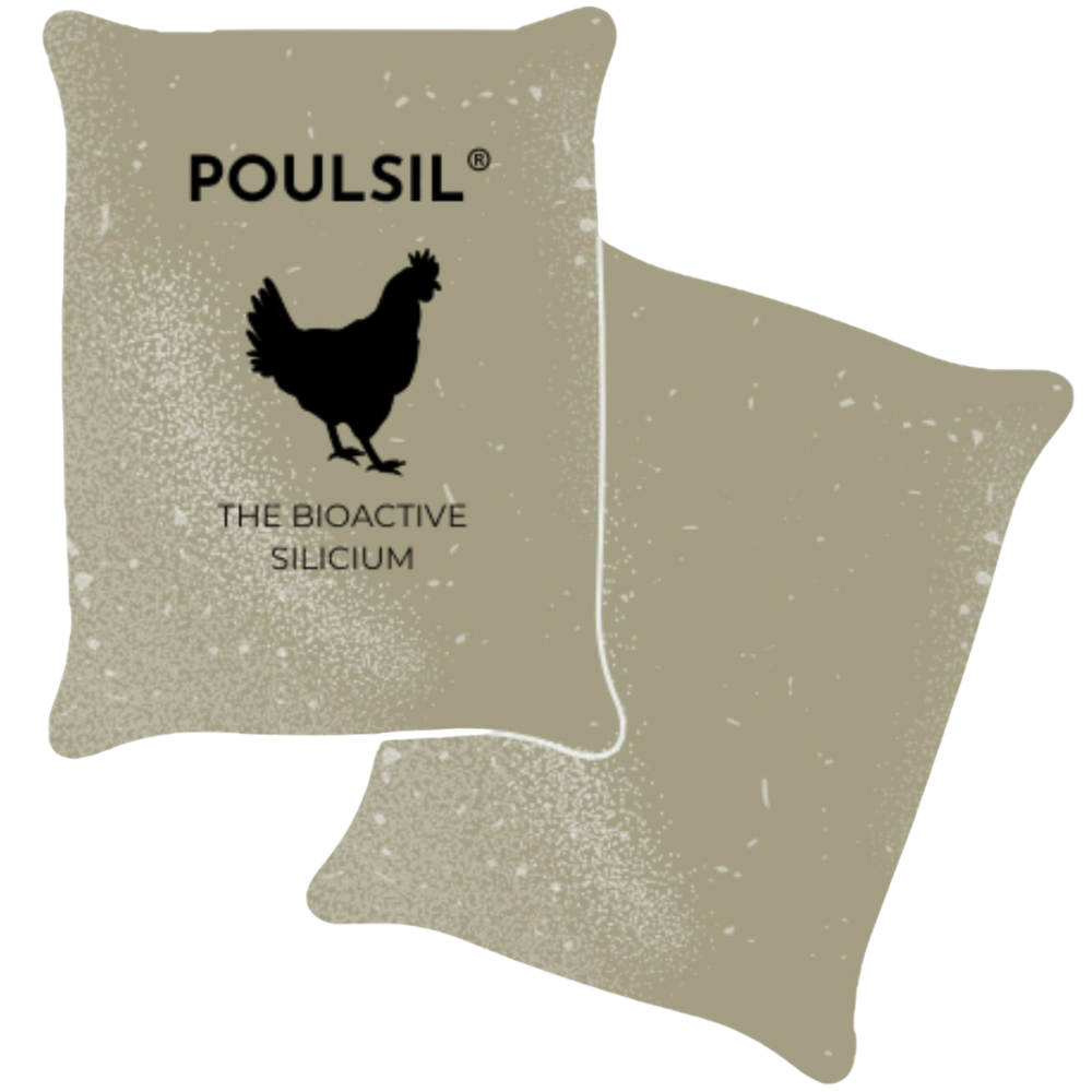 Poulsil - what is poulsil