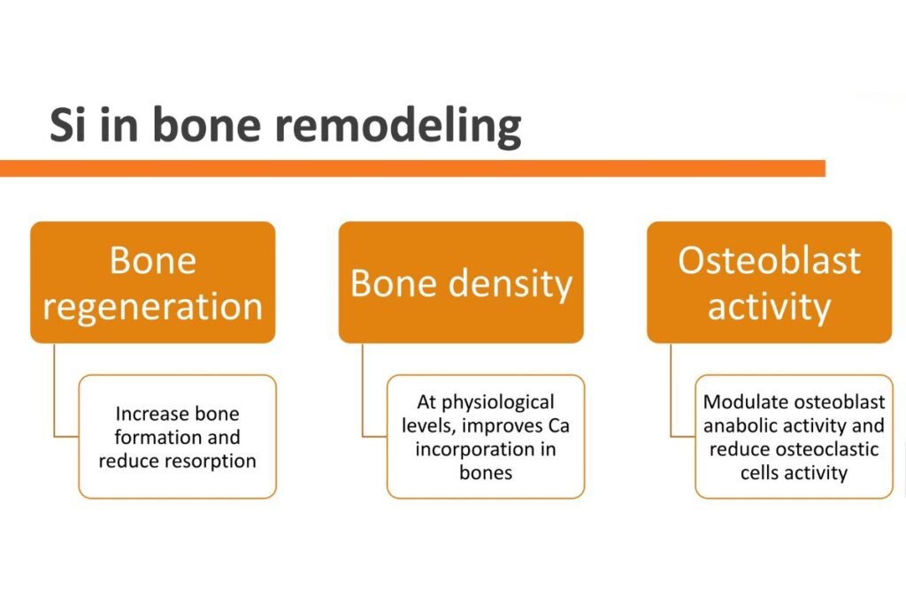 Silicium in bone remodeling